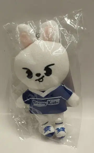 StrayKids 2024 JYP POP UP LeeKnow 백참 SKZOO