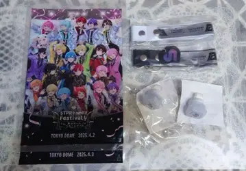STPR Family Festival 도쿄돔 2일권 특전 굿즈 세트