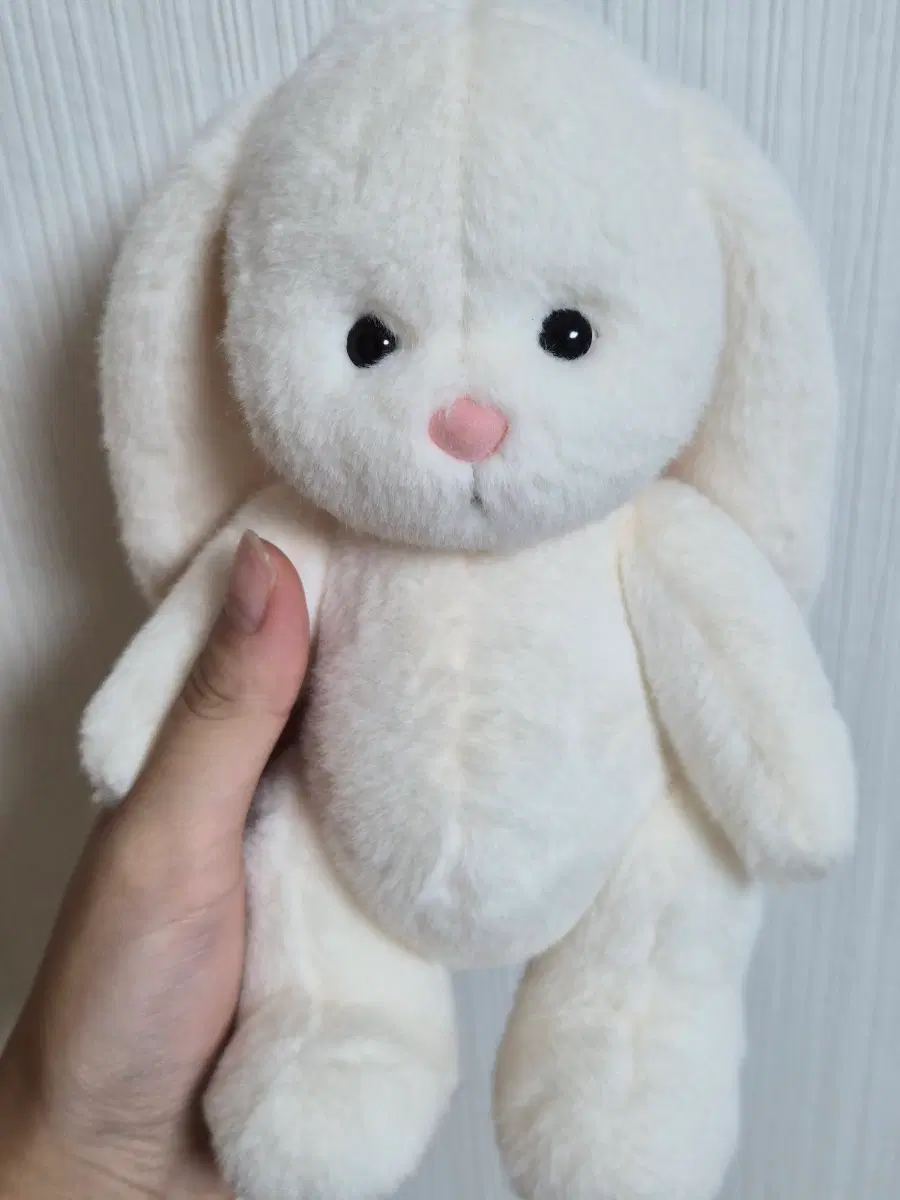 테디테일즈 버니 s