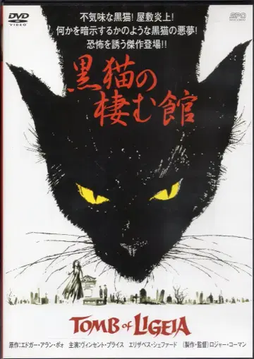 서양화 DVD 검은 고양이의 집
