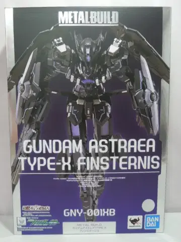 BANDAI SPIRITS METAL BUILD 건담 아스트레아 TYPE-X 핀 스타니스