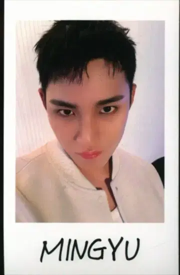 SEVENTEEN MINGYU 2024 FOLLOW AGAIN TO JAPAN 셀카