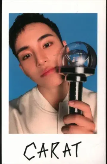 SEVENTEEN MINGYU 2024 FOLLOW AGAIN TO JAPAN 응원봉