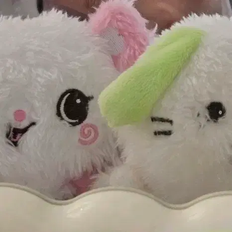 포켓위시돌 팡이 룐룐 찾아요
