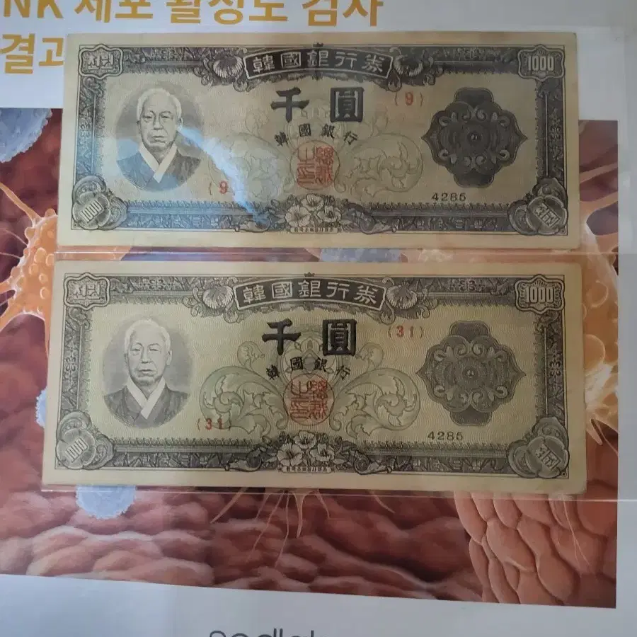 천원 좌이박