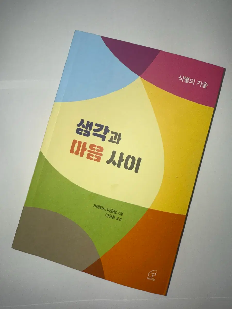 생각과 마음 사이 : 식별의 기술