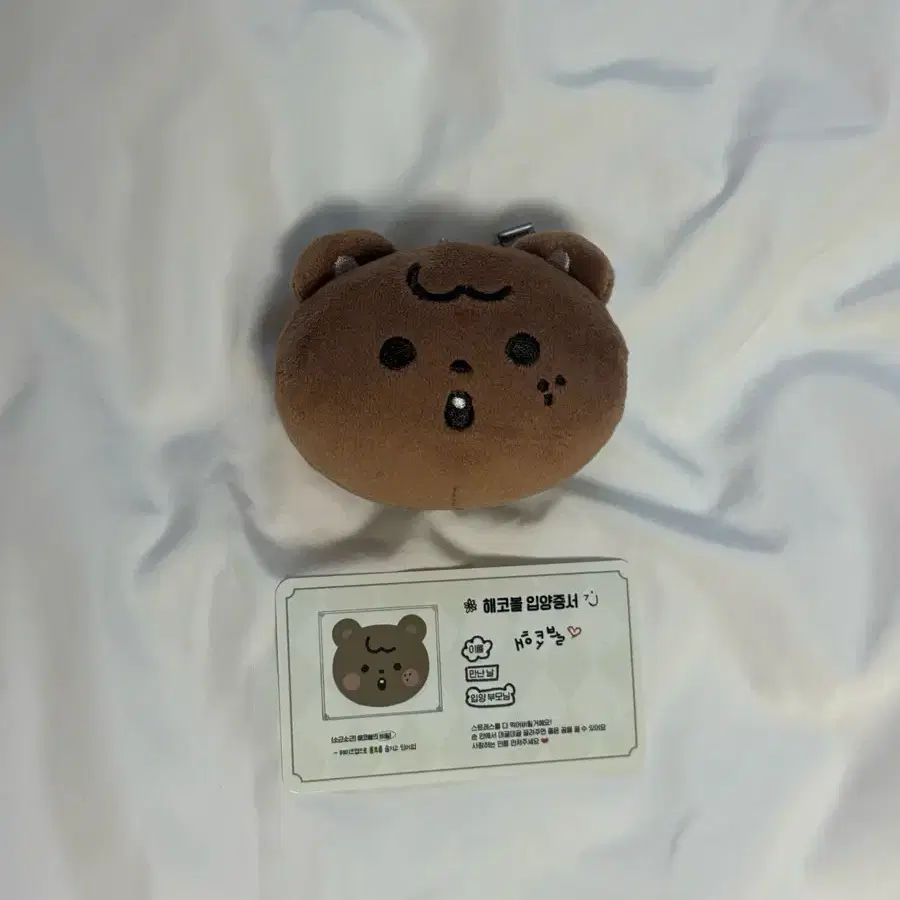 엔시티 드림 127 해찬 인형 해코볼