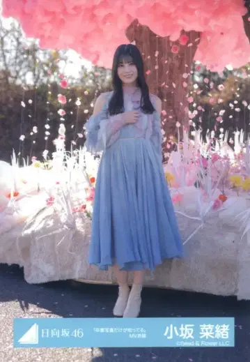 히나타자카46 6번째 히나탄사이 코사카 나오 [졸업 사진만이 알고 있다] MV 의상(가창 의상) 히키