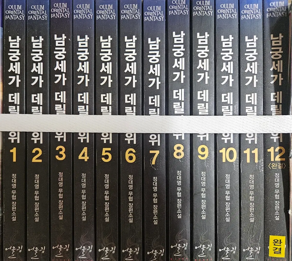 남궁세가 데릴사위1-12완