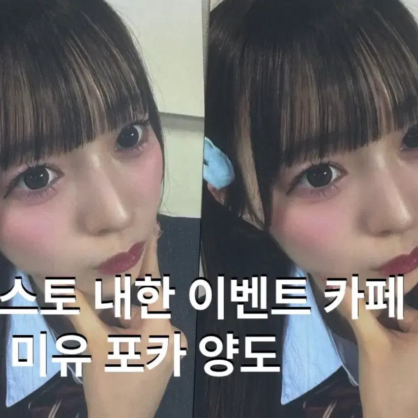 판매) 큐스토 내한 이벤트 카페 특전 포카 양도