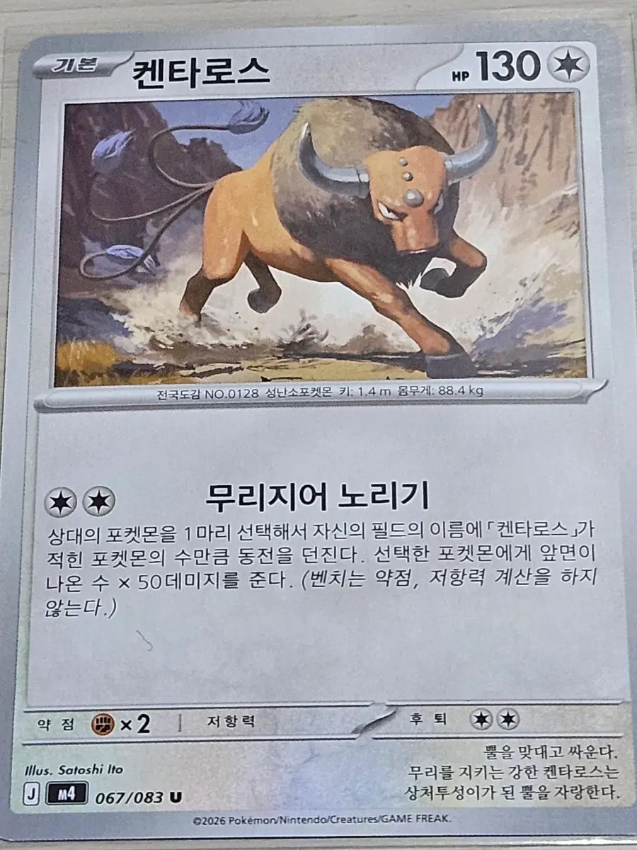 [최저가] 포켓몬 카드 켄타로스