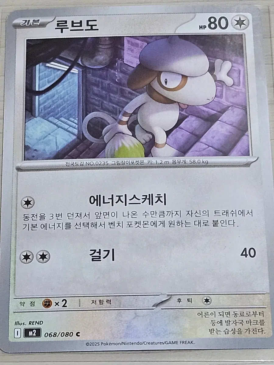 [한정수량] 포켓몬 카드 루브도 068/080 C