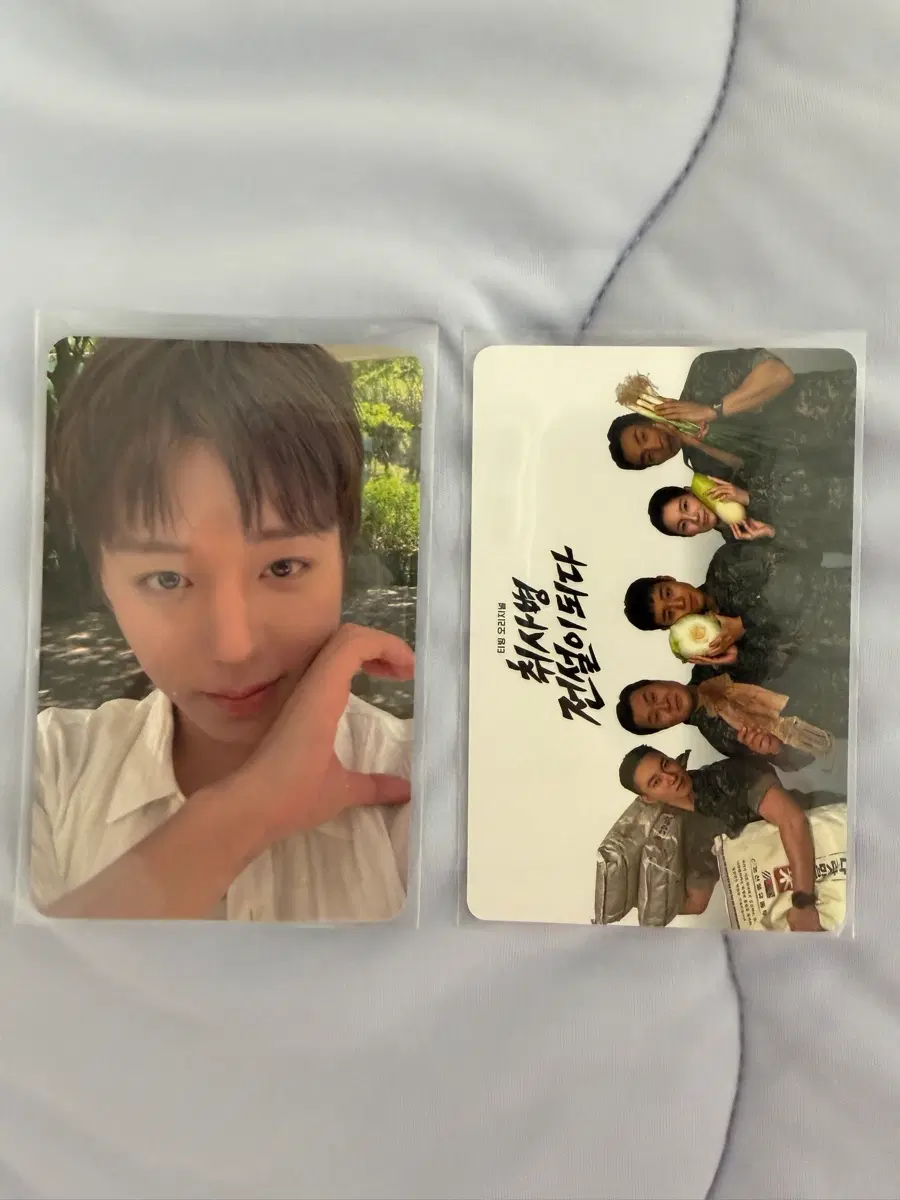 박지훈 포맨트 바디워시 포카 취사병 단체포카 세트