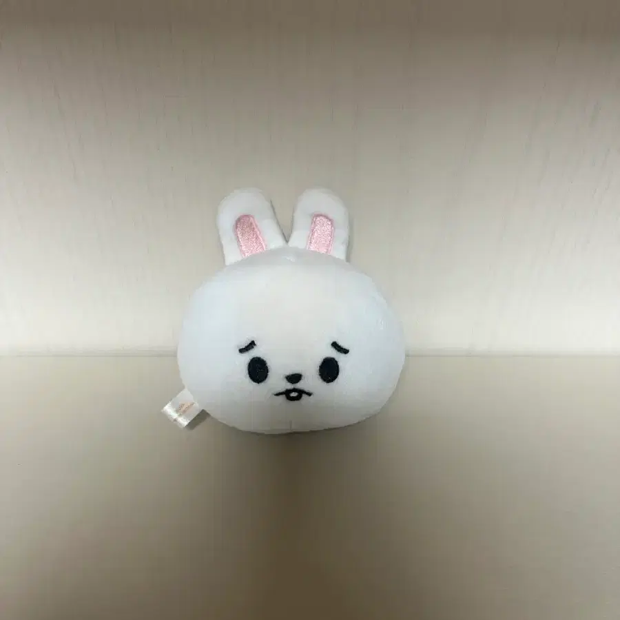 스트레이키즈 리빗 스트레스볼