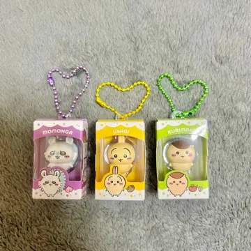 치이카와 / 초코 박스 3종 세트