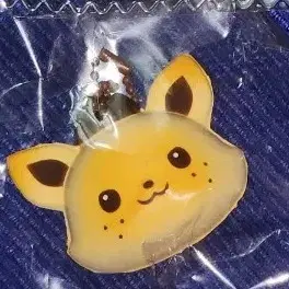 시오닝 스퀴시