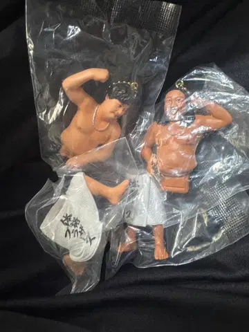 체격 브라더스 피규어 아키야마 히라코