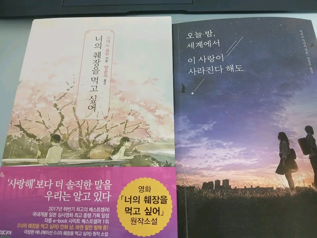 너의 췌장을 먹고 싶어 / 오늘 밤, 세계에서 이 사랑이 사라진다 해도 소설책