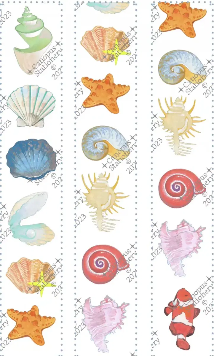 canopus 화지 마테띵 seaside