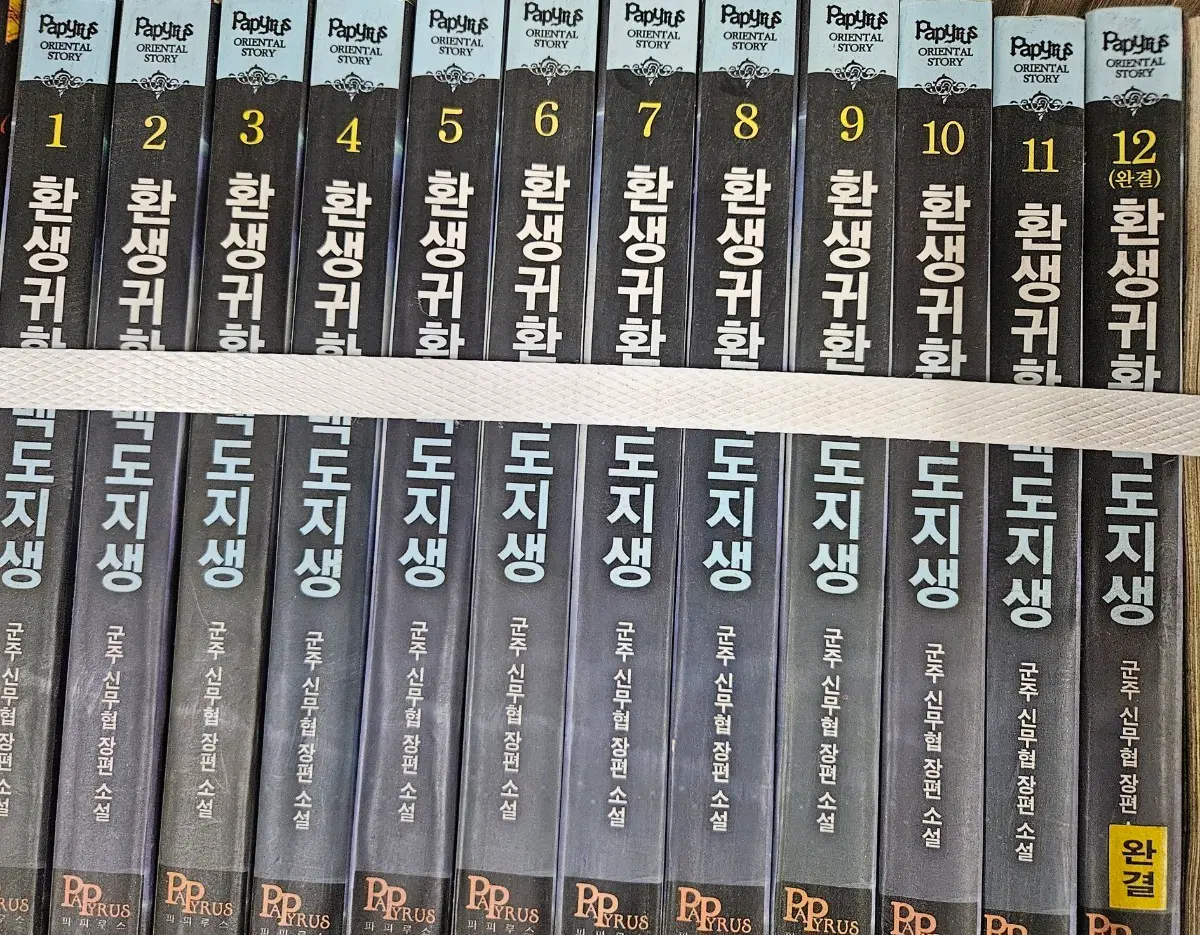 환생귀환백도지생1-12완