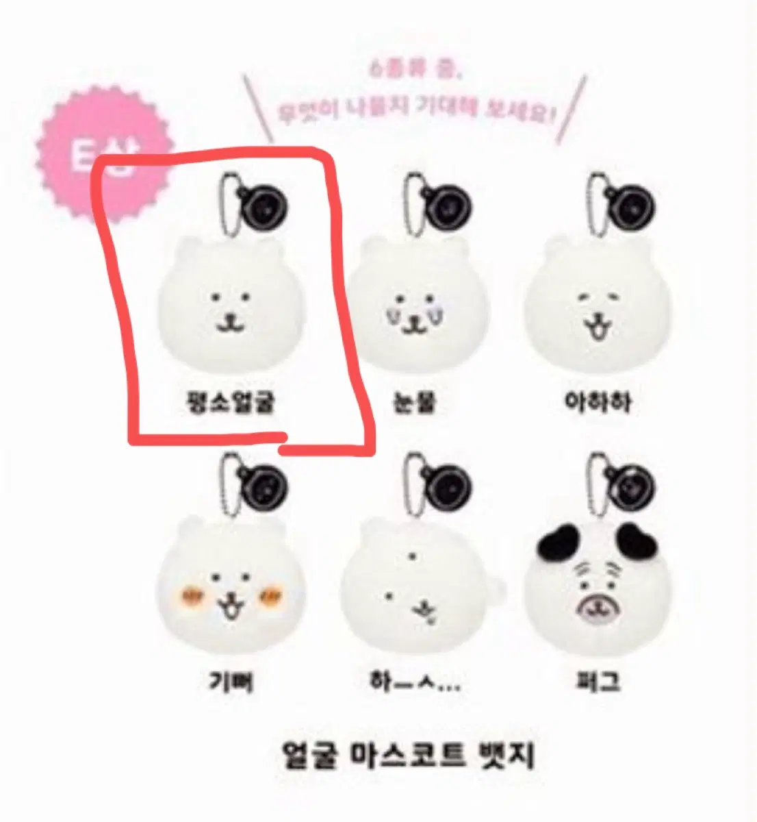 나가노마켓 쿠지 E상