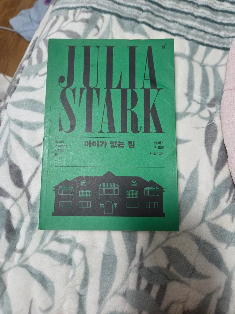 아이가 없는 집 소설책
