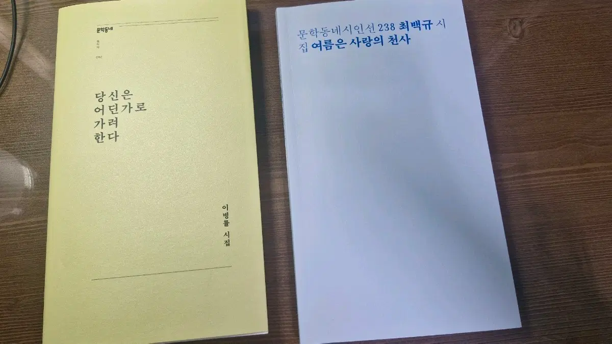시집 문학동네 이병률 당신은 어딘가로 가려한다 최백규 여름은 사랑의 천사