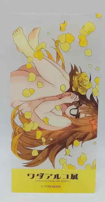애니플렉스 시크릿 가든 클리어 카드 Fate EXTRA CCC 와다 아루코전 지나코=카리기리