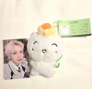 새상품 ATEEZ 아치즈 요상 팬미팅 봉제 인형 2026 YEOSANG