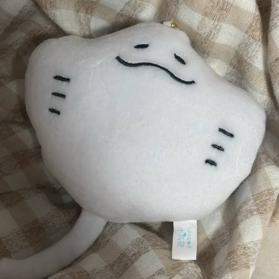 가오리 인형 키링