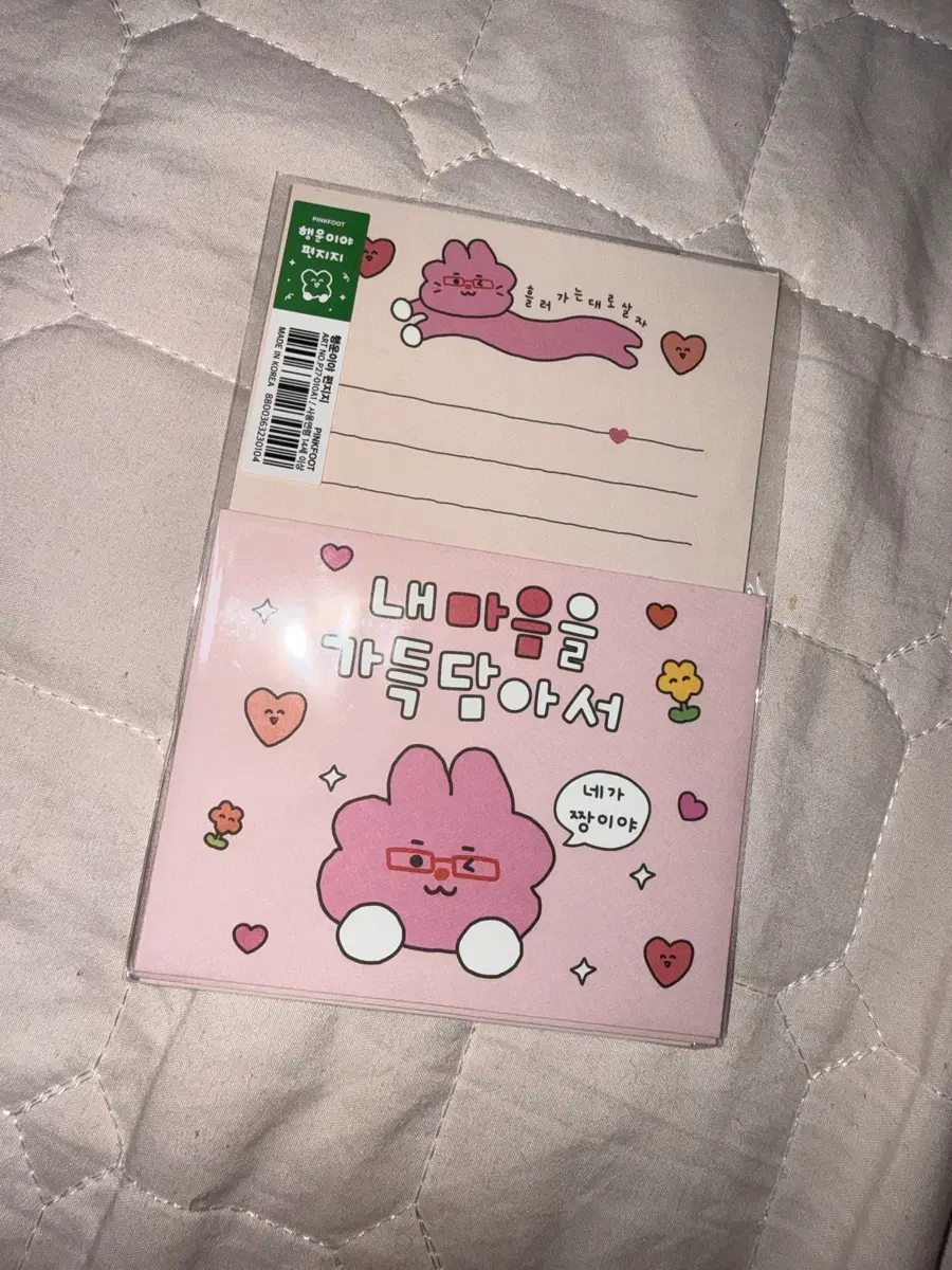 편지지
