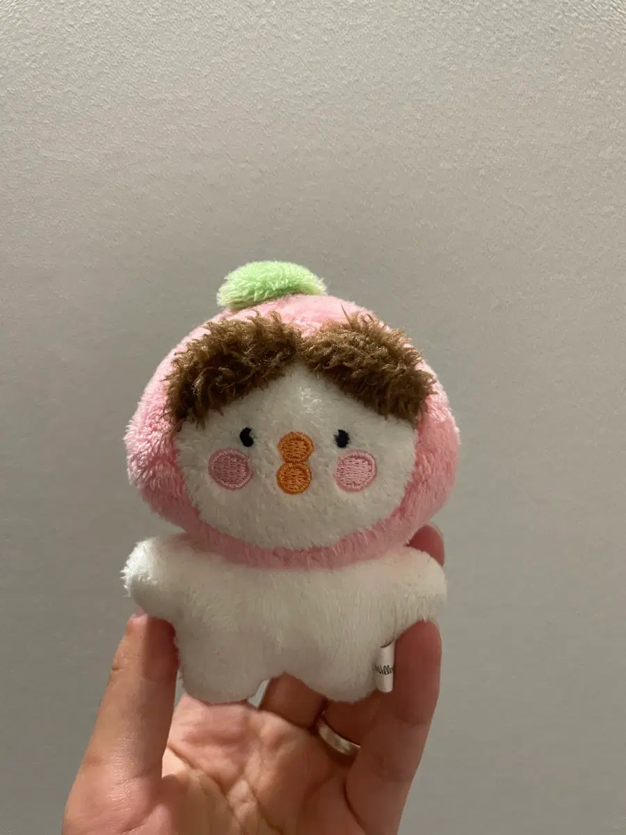 티모시 뽀숭이