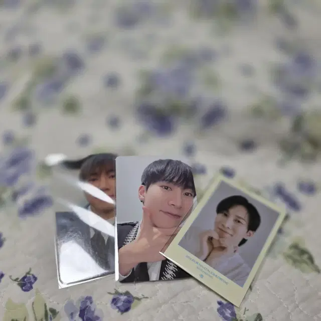 ๋นํฌ๋น