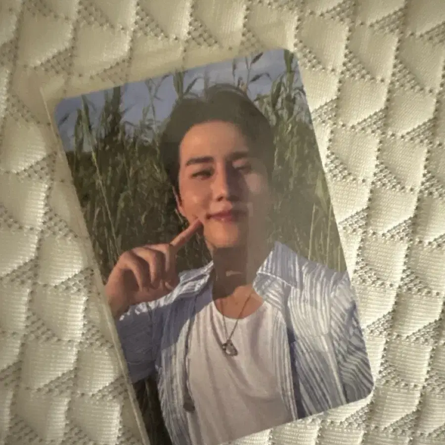 데이식스 영케이포토카트