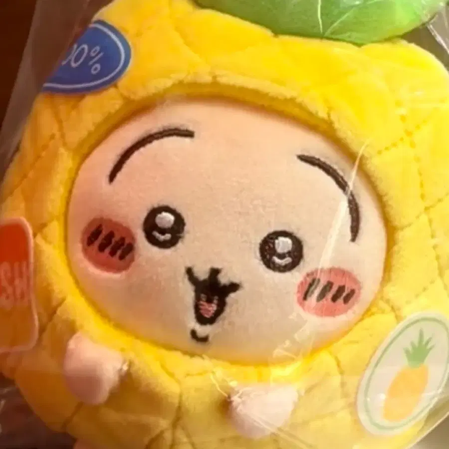 전용