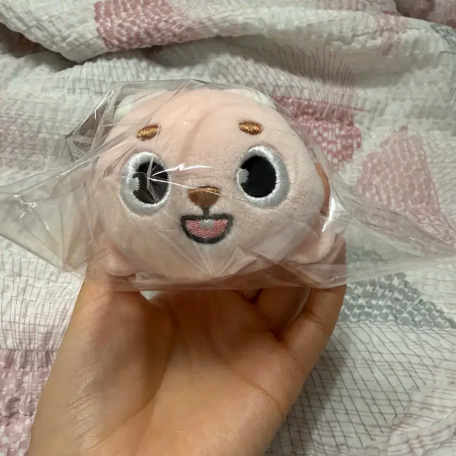 데이식스 데니멀즈 플러시 라잉 필 미개봉 양도 합니다