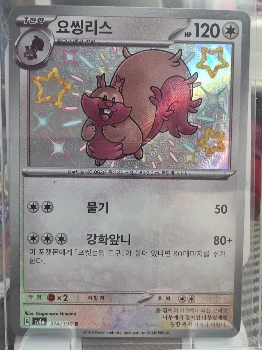 요씽리스 포켓몬 카드 샤트 이로치