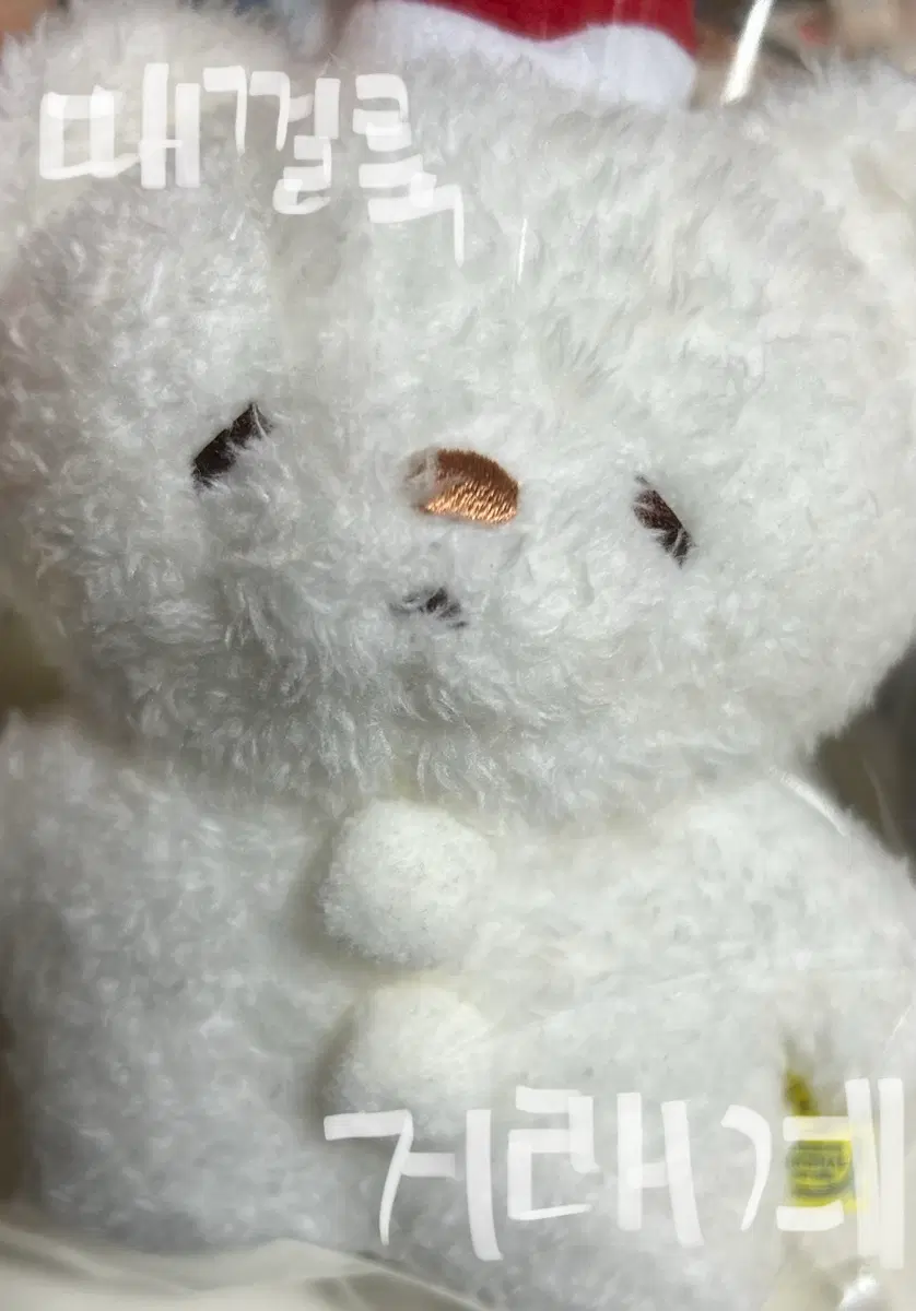 탓톤 탓똔 크리스마스 한정 인형 곰 누이 판매