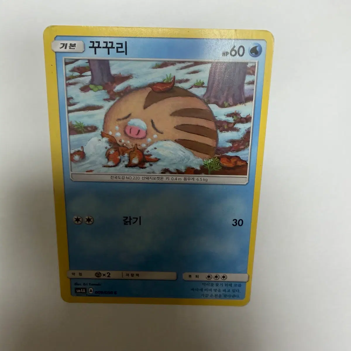 꾸꾸리 포켓몬카드