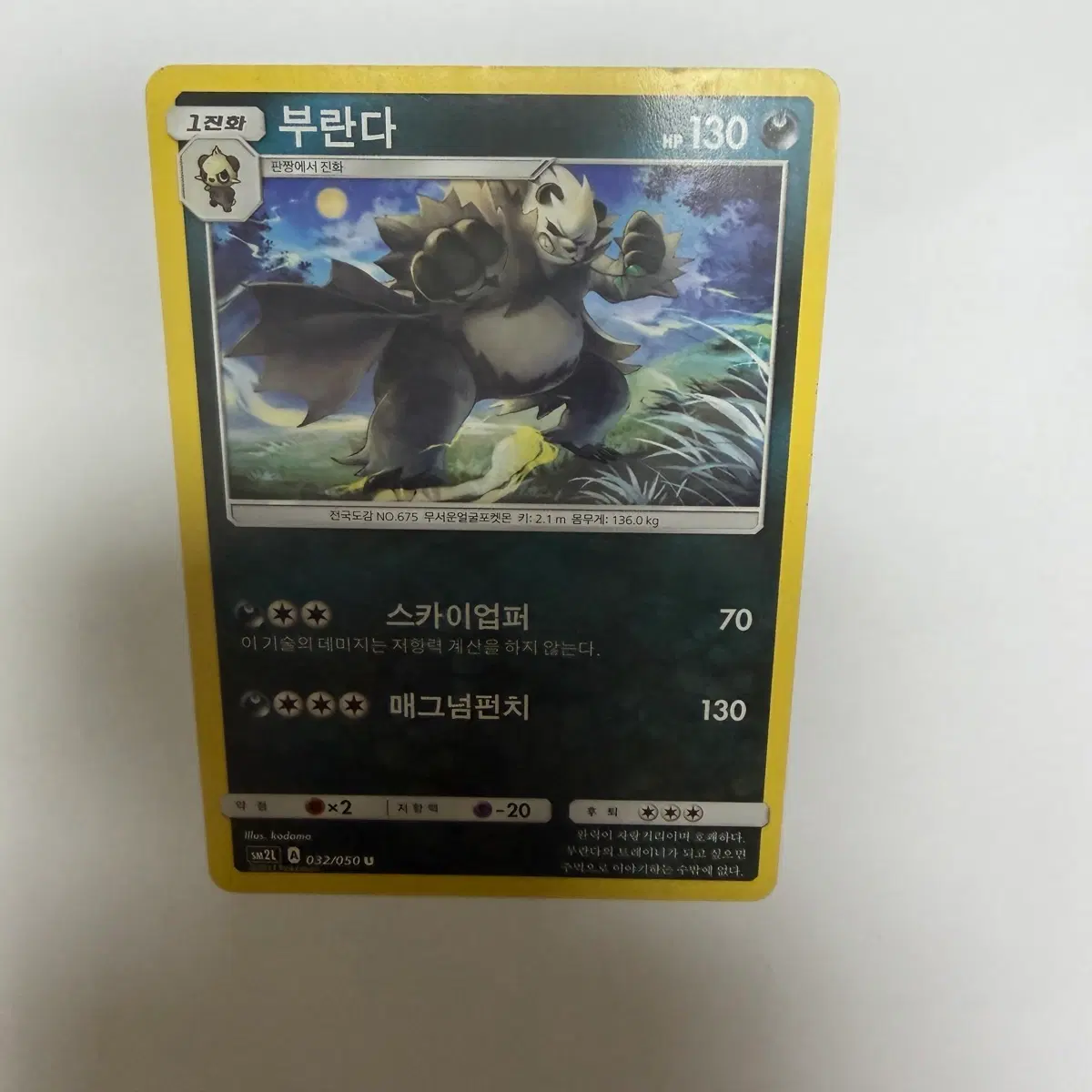 부란다 포켓몬카드