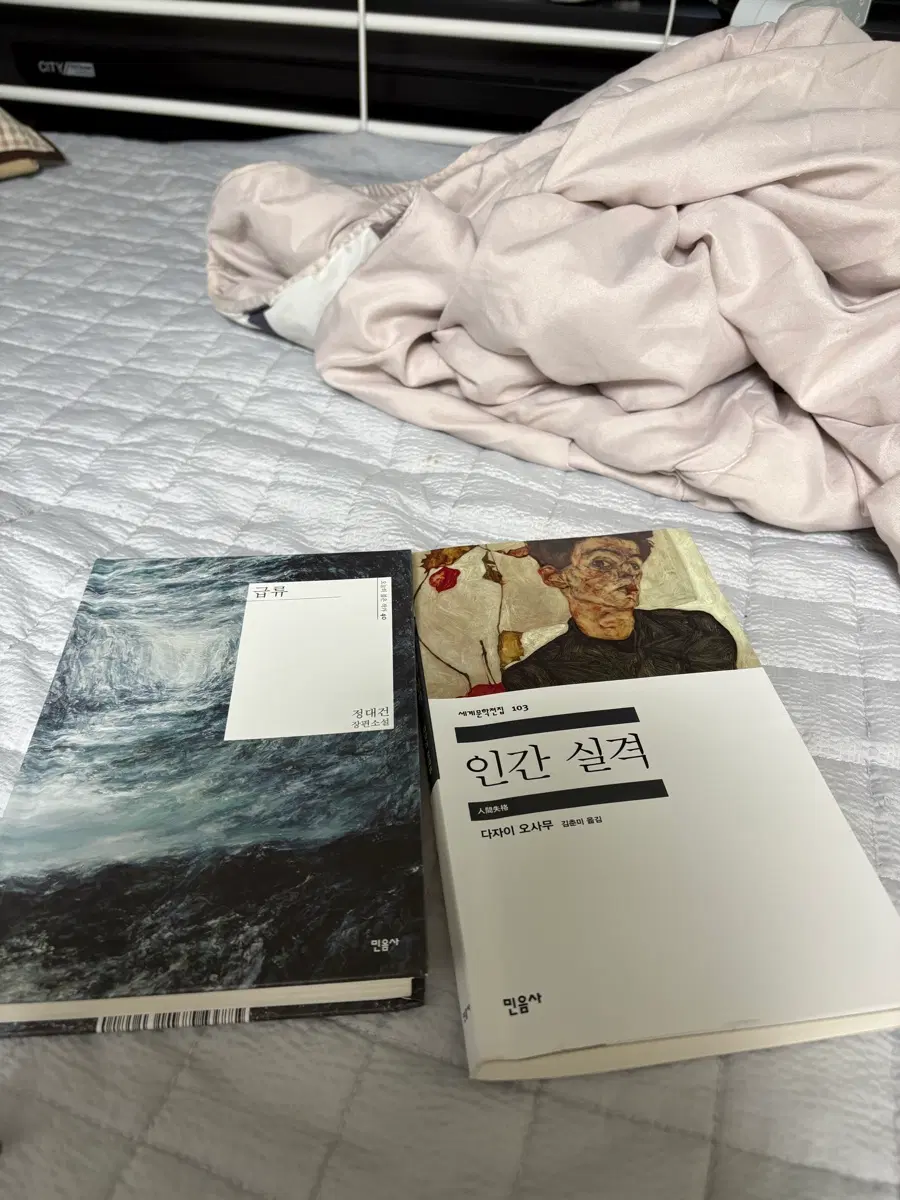 책 두권