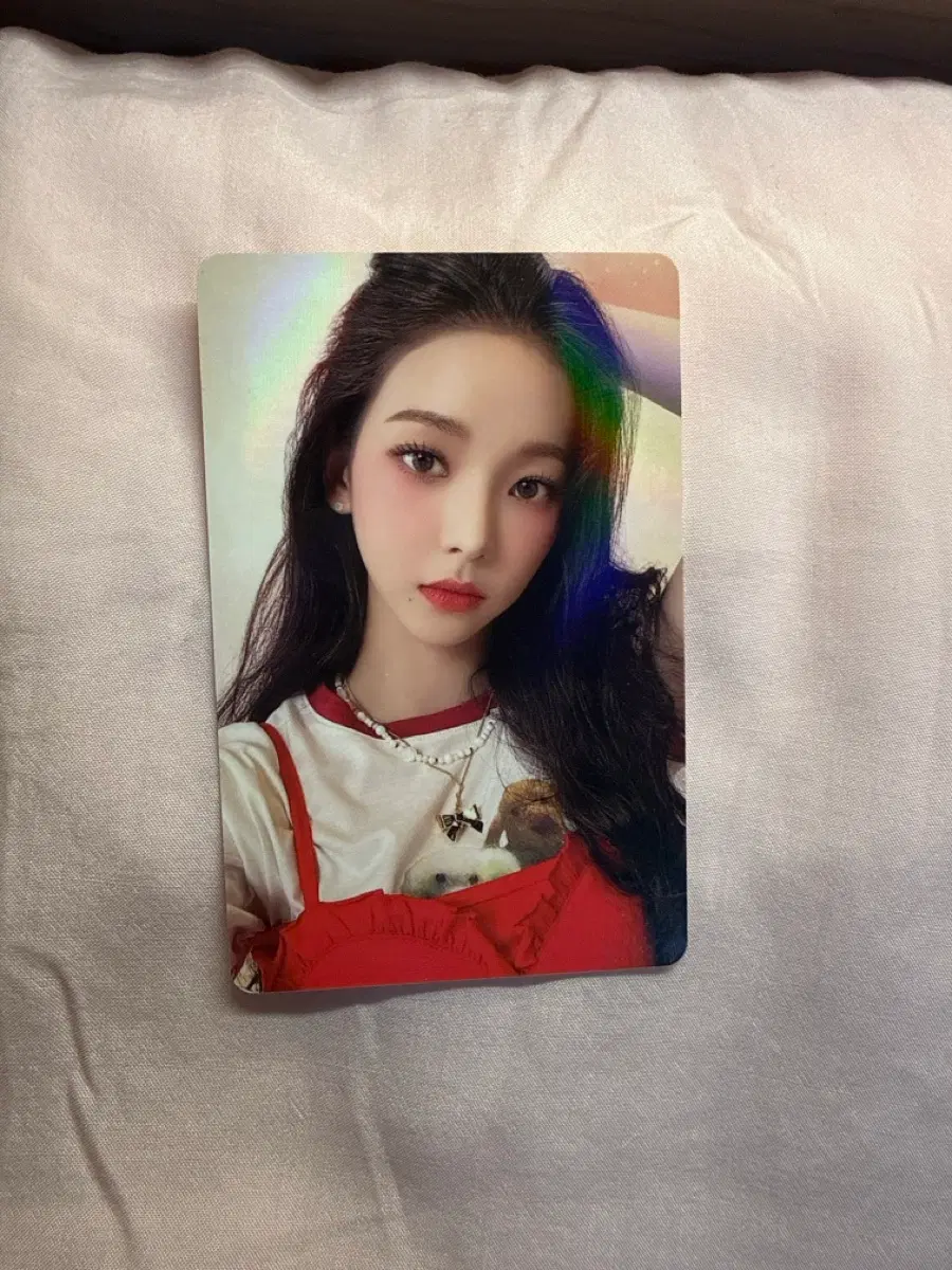 2022 시그 카리나 포카