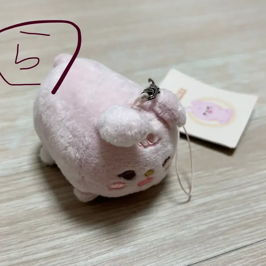 예약중 데이식스 쁘쁘멀 필