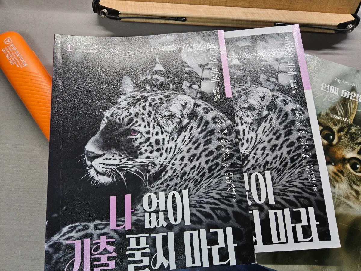 전형태 나기출 언매