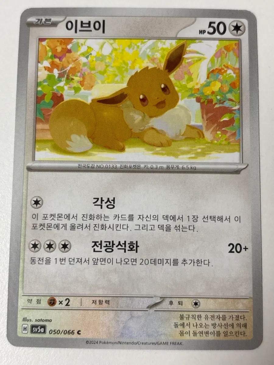 포켓몬카드 이브이 sv5a
