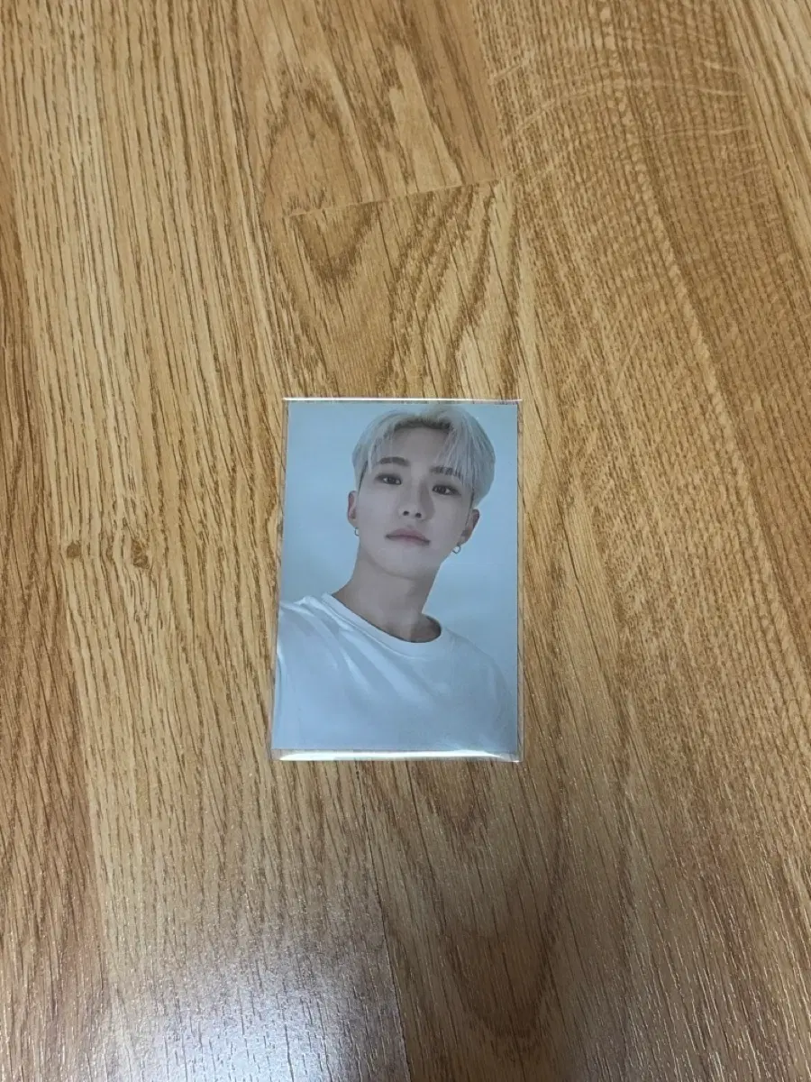 세븐틴 호시 6주년 포카