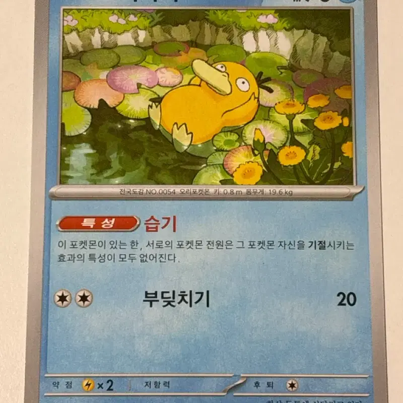 포켓몬카드 고라파덕 m2a