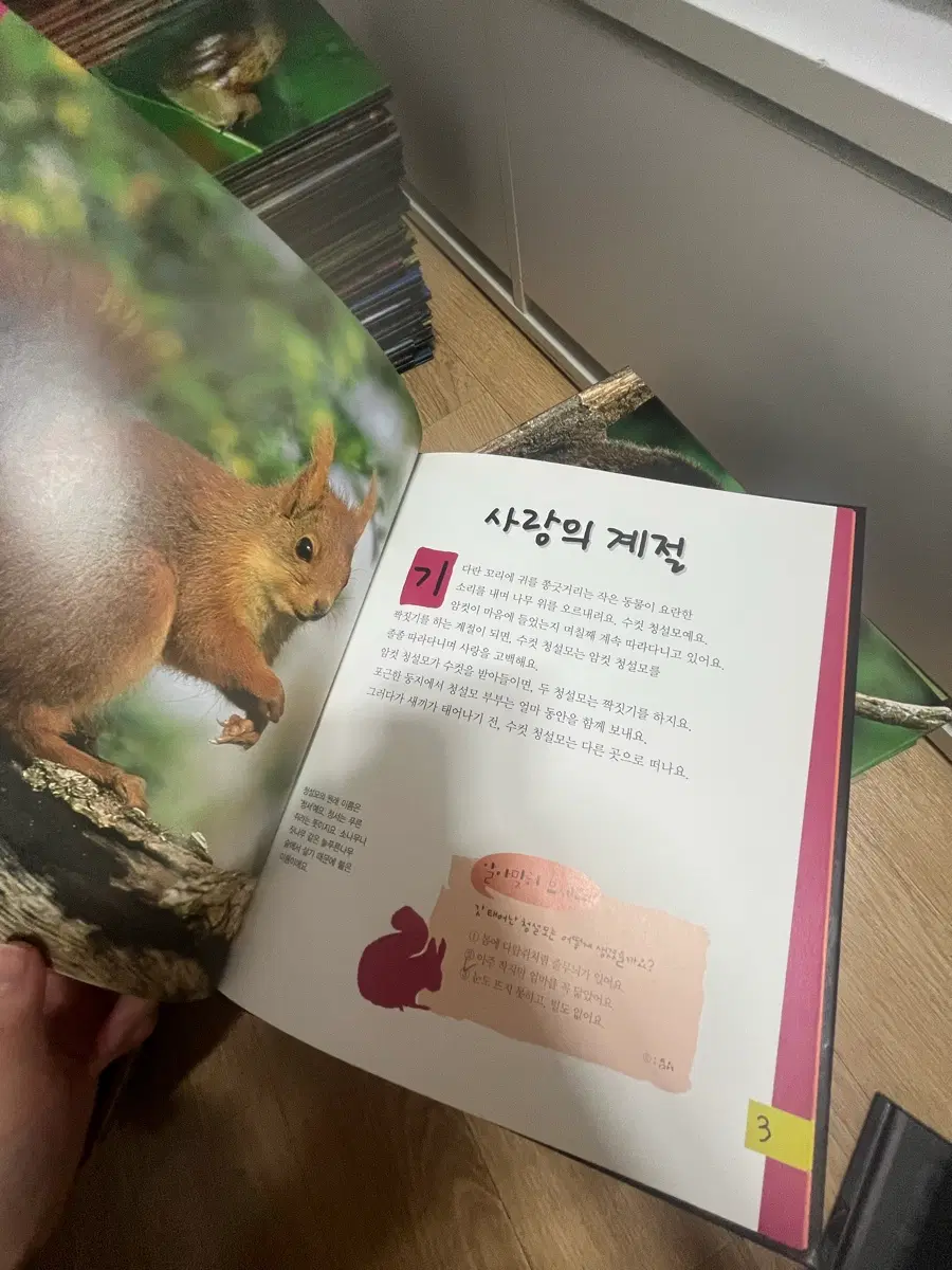 대교 스마티스 ZOO ZOO Plus 전집