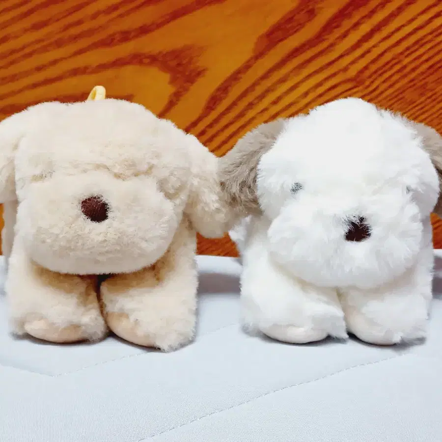 일괄)이젠 크리에이션 뭉뭉이 키링인형 15센치 2종