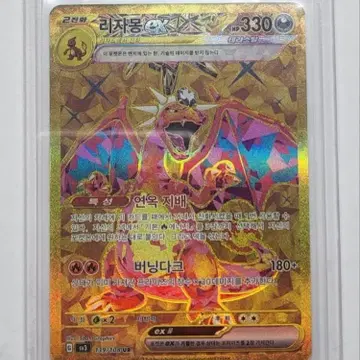 리자몽 ex UR